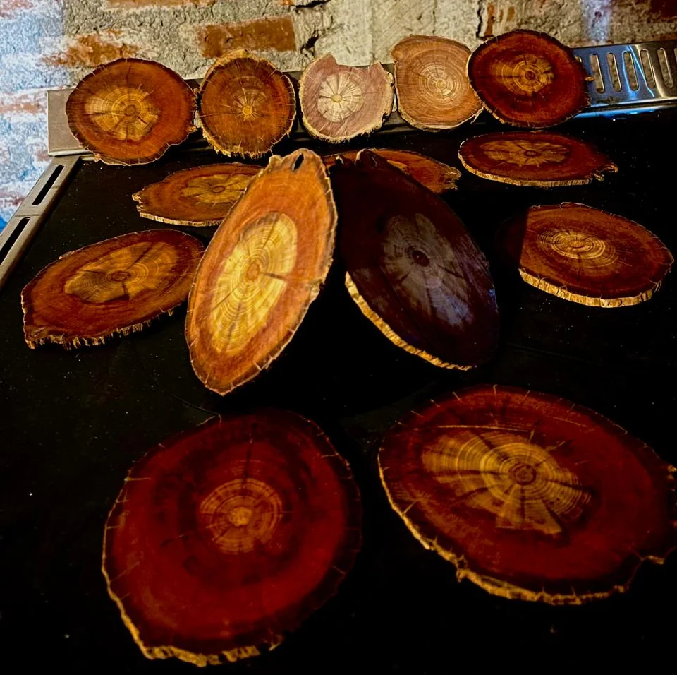 Colección de posavasos de Araucaria Gran Pehuén, cada uno con veta, color y forma distintos